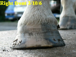 Right front 3/10/6