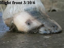 Right front 3/10/6