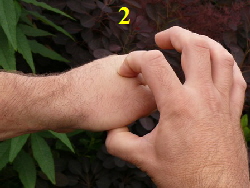 2 2