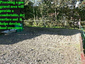 Providing a pea 
gravel area will 
provide a 
comfortable, dry 
surface and  it
helps develop 
hoof structure .