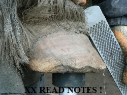 XX READ NOTES !