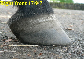 Right front 17/9/7