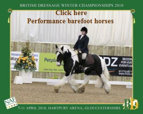 Gypsey cob Domino 'Double Dynamo' Affiliated Dressage